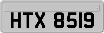 HTX8519