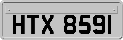 HTX8591