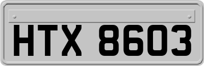 HTX8603