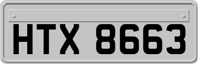 HTX8663