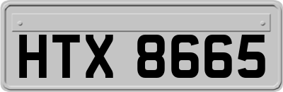 HTX8665