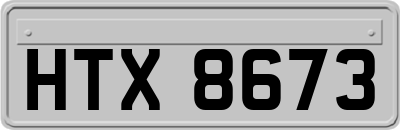 HTX8673