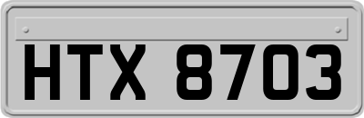 HTX8703