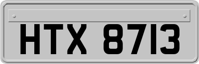 HTX8713