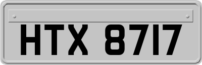 HTX8717