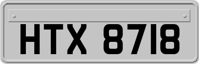 HTX8718