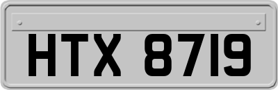 HTX8719