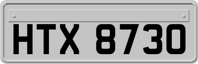 HTX8730