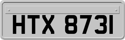 HTX8731