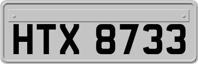 HTX8733