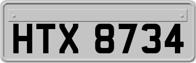 HTX8734