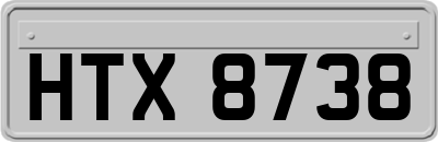 HTX8738