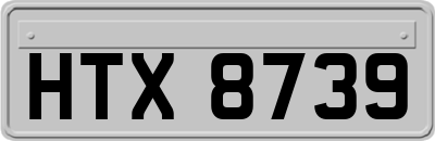 HTX8739