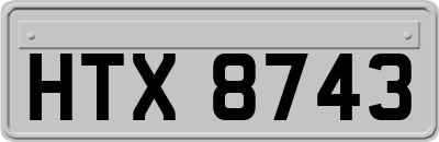 HTX8743