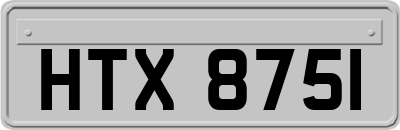 HTX8751