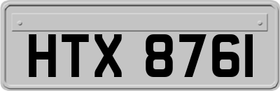 HTX8761