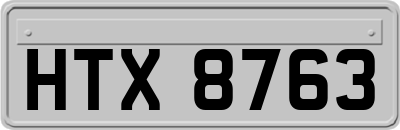 HTX8763