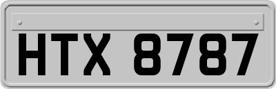 HTX8787