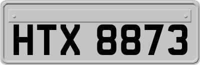 HTX8873