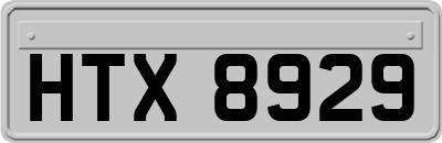 HTX8929