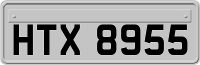 HTX8955