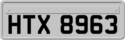 HTX8963