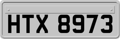 HTX8973