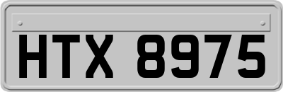 HTX8975