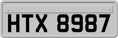 HTX8987