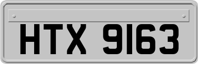 HTX9163