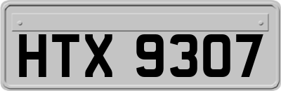 HTX9307