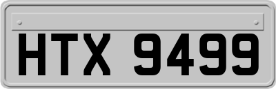 HTX9499