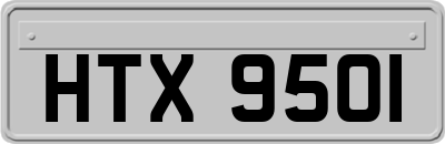 HTX9501