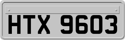 HTX9603