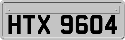 HTX9604