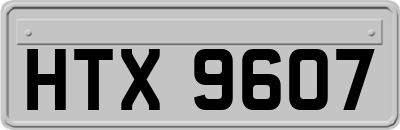 HTX9607