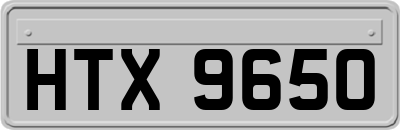 HTX9650