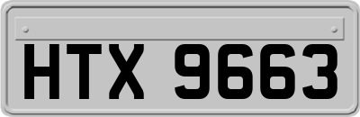 HTX9663