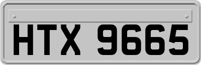 HTX9665