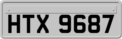 HTX9687