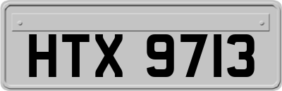 HTX9713