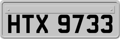 HTX9733