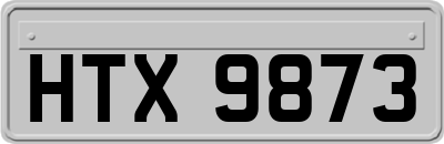 HTX9873