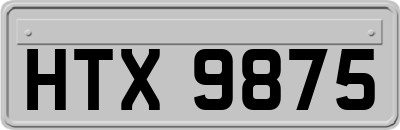 HTX9875