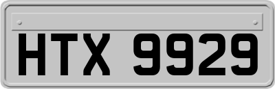 HTX9929