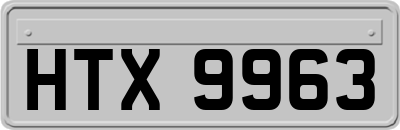 HTX9963