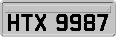 HTX9987