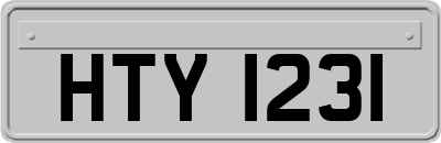 HTY1231