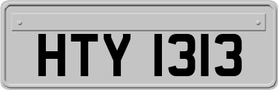 HTY1313