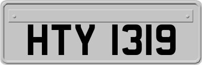 HTY1319